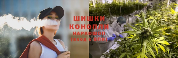 эйфоретик Аркадак