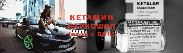 прущие грибы Армянск
