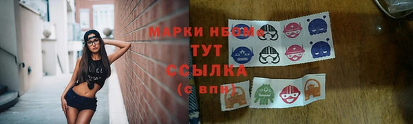 амф Арсеньев