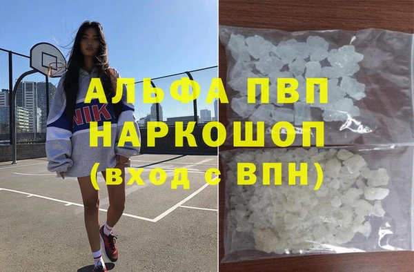 прущие грибы Армянск