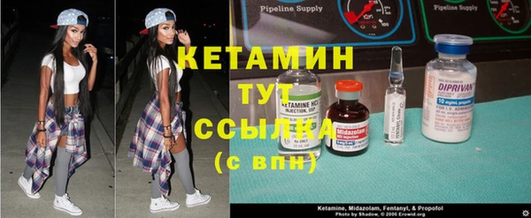 прущие грибы Армянск
