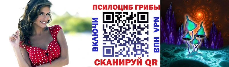 купить наркотик  Киров  Галлюциногенные грибы GOLDEN TEACHER 