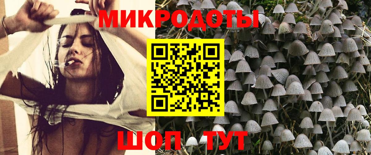 Галлюциногенные грибы Cubensis  Вход с VPN  Псилоцибиновые грибы MAGIC MUSHROOMS  Киров 